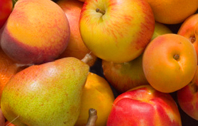 Strasser raw materials Strasser raw materials